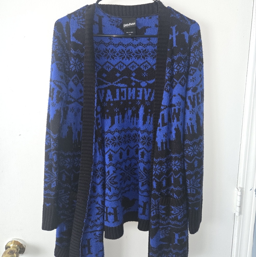 Warner Bros. Harry Potter Blue and Black Knit